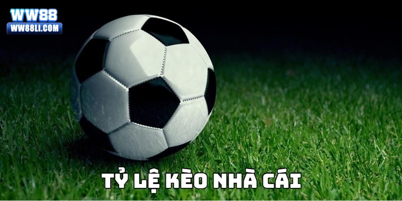 Chiến lược mà bạn nên áp dụng khi chơi cá cược euro