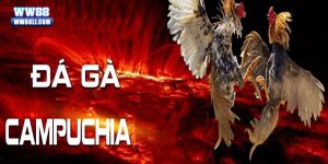 đá gà Campuchia