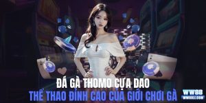 đá gà Thomo cựa dao