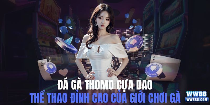 đá gà Thomo cựa dao