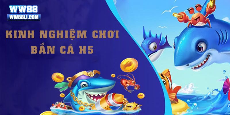 Kinh nghiệm chinh phục đại dương từ các ngư thủ chuyên nghiệp